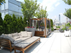 Roof Deck at Gramercy Starck Condos